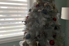 IMG_5369.HEIC
