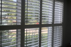 IMG_3881