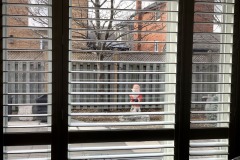 IMG_5303.HEIC